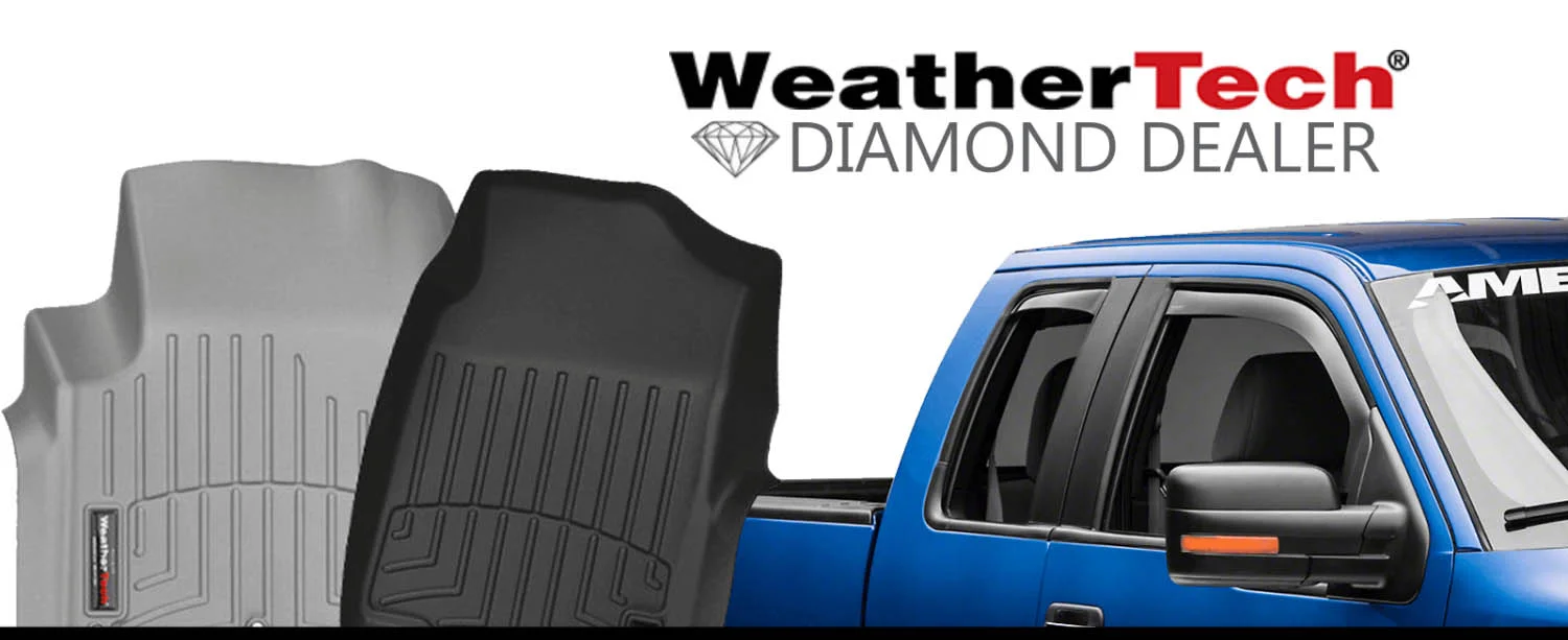 Dangerous Curves - WeatherTech Diamond Dealer