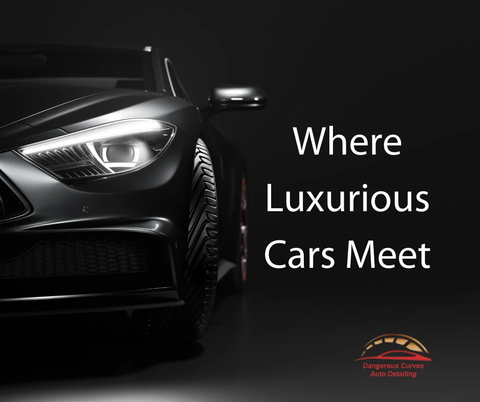 Paint preservation and ceramic coating process