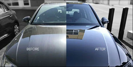 Dangerous Curves Detailing professional vehicle care