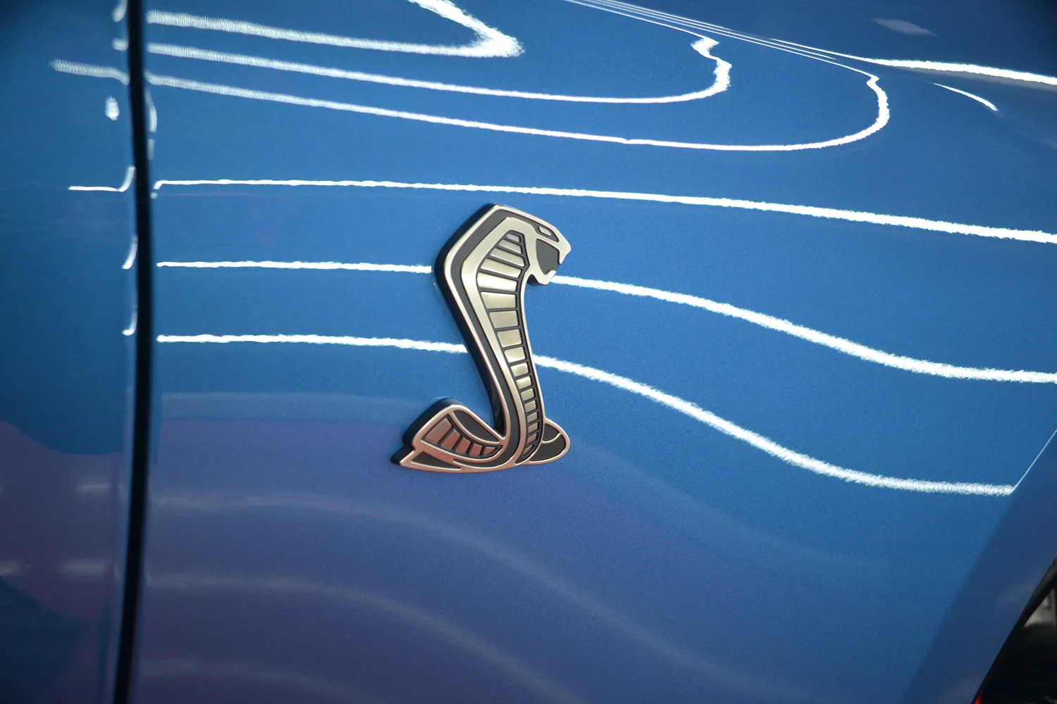 Coastal conditions affecting vehicle paint